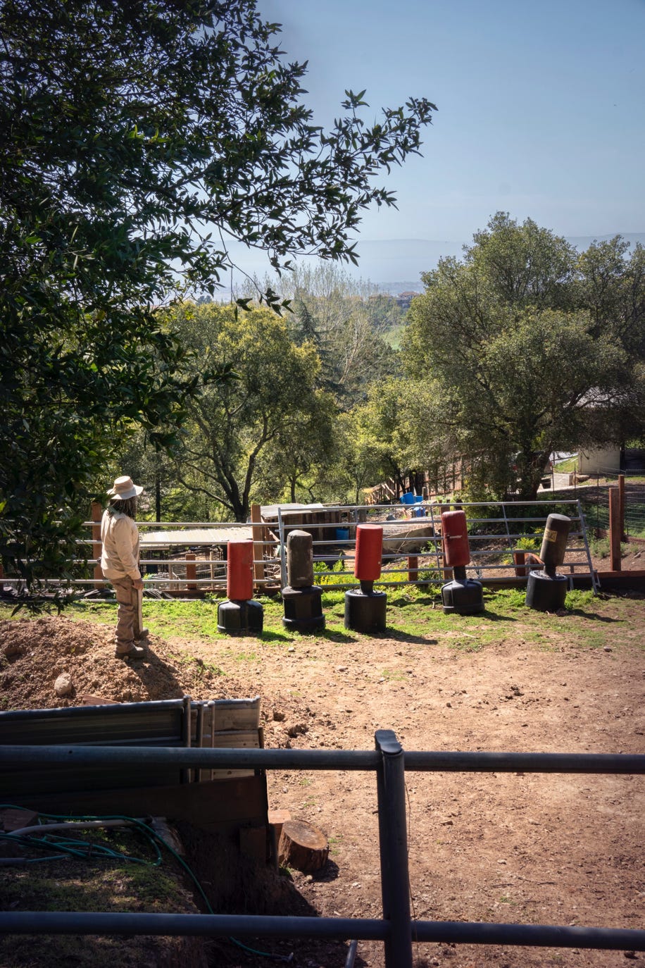 Kungf/Grandmaster Doug Jones at the Equine Kungfu ranch, combining horses & Kungfu in nature.